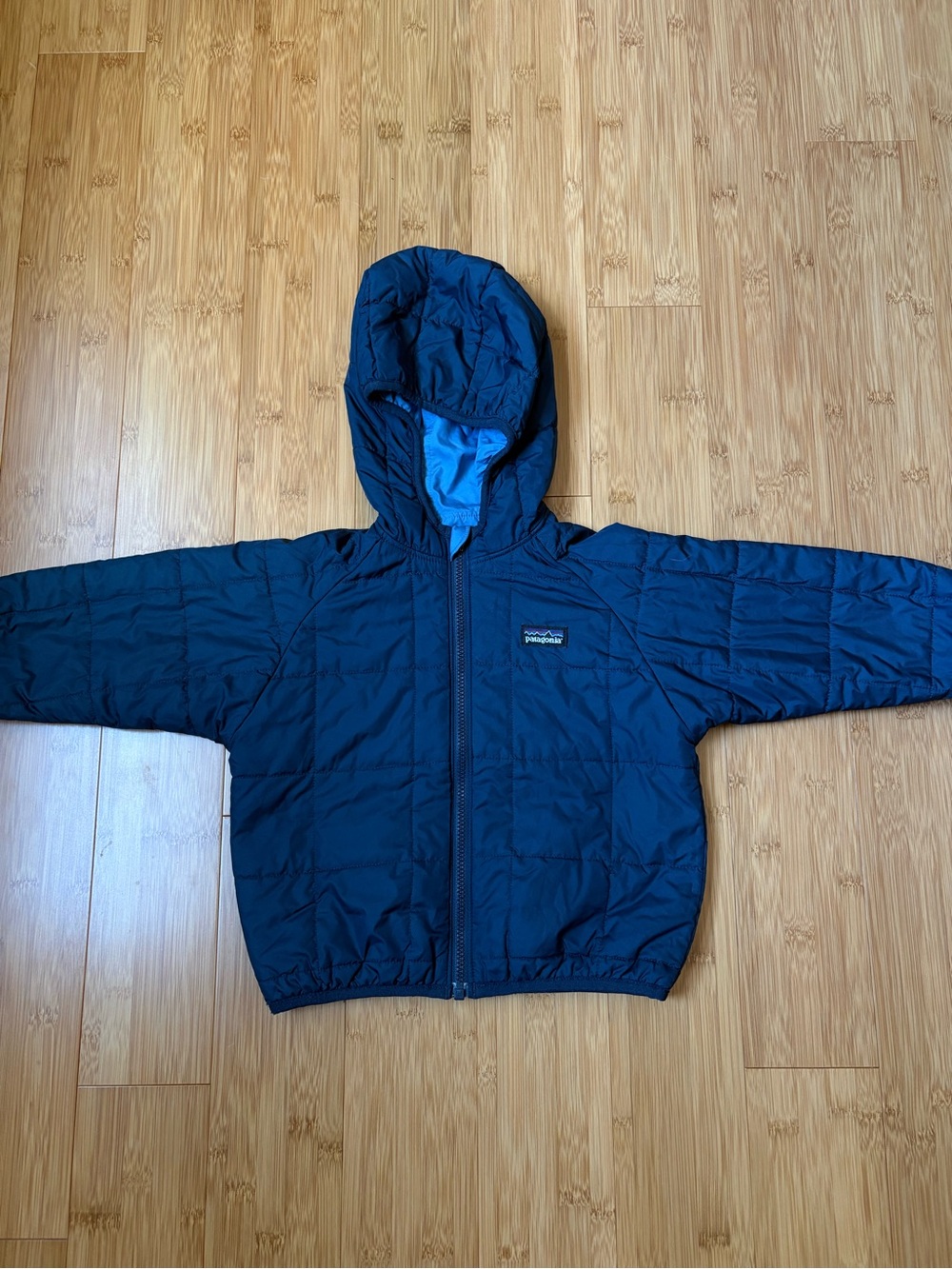 Patagonia Kids Navy Hooded Puffer Jacket